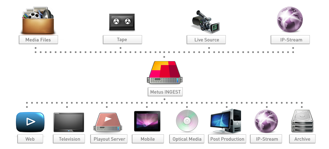 Metus Ingest Professional Software