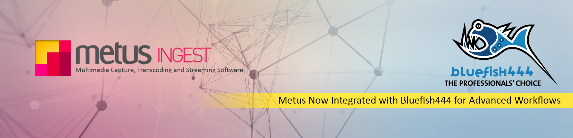 Metus INGEST Expands Support for High-Quality Workflows with BlueFish444
